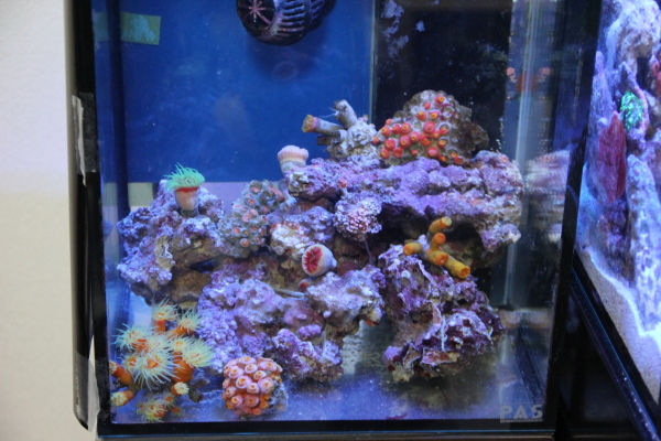 30_20130429221324.jpg