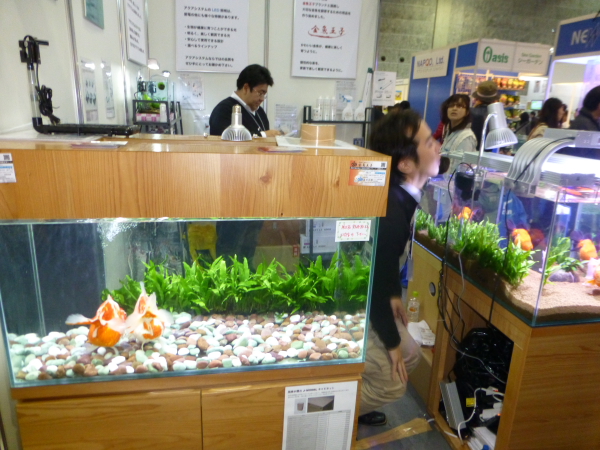 3_20130331212002.jpg