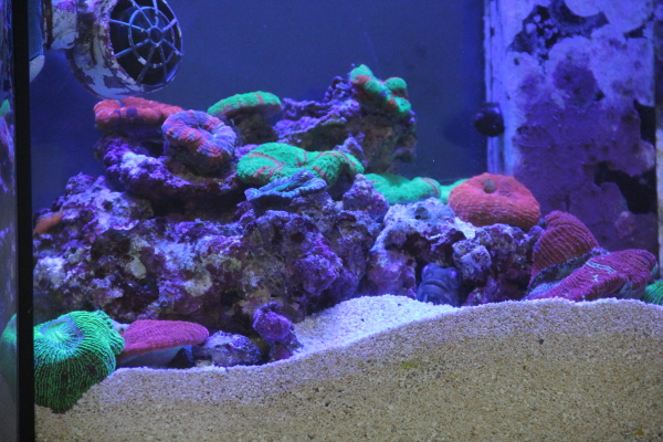 45_20130522215755.jpg