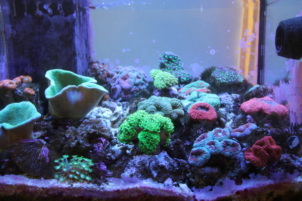 60-2_20130429221333.jpg