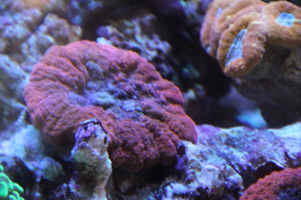 60_20130514222759.jpg