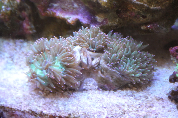 90_20130514222803.jpg