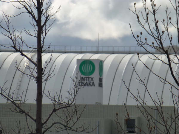 P1010681.jpg