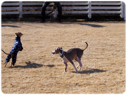 P1125132-9.jpg