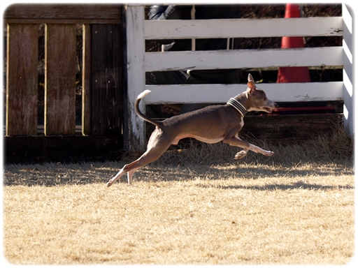 P1125135-5.jpg