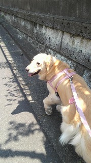 2012060812550000.jpg