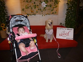 2012_0918ピクチャ0451