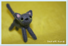 $Katzeitung.net *ネコシンブンツナガリ*