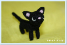 $Katzeitung.net *ネコシンブンツナガリ*