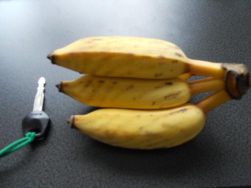 014_convert_20130318222707.jpg