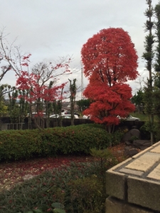 20140906_190422.jpg