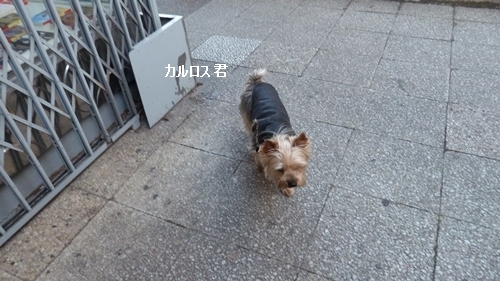 カルロス