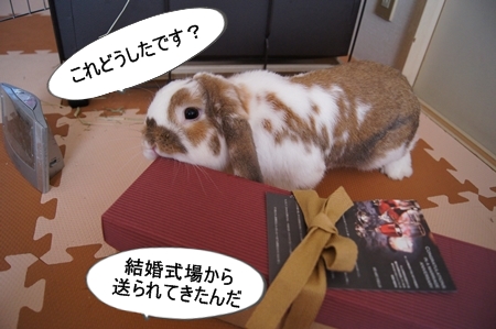 DSC00304.jpg