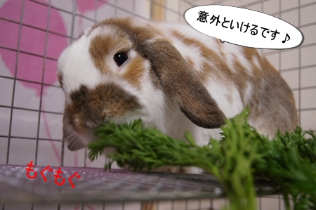 DSC02947.jpg