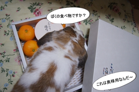 DSC03192.jpg