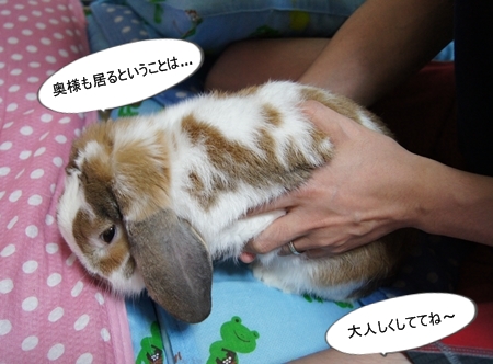 DSC03530.jpg
