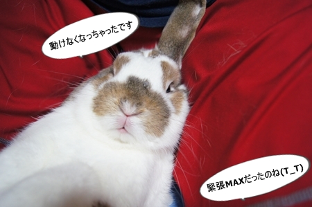 DSC03556.jpg
