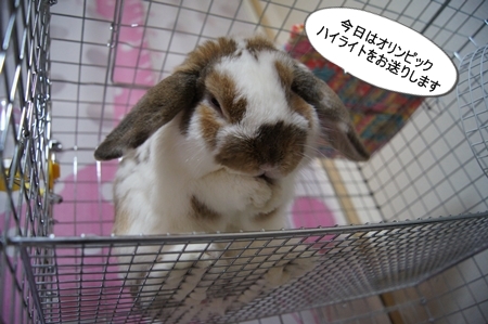 DSC03715.jpg