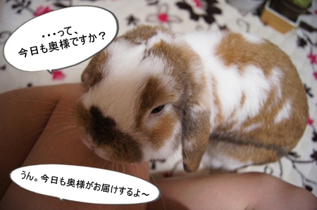 DSC03990.jpg