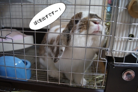 DSC04576.jpg