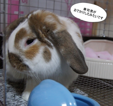 DSC04613.jpg