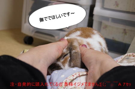 DSC05108.jpg