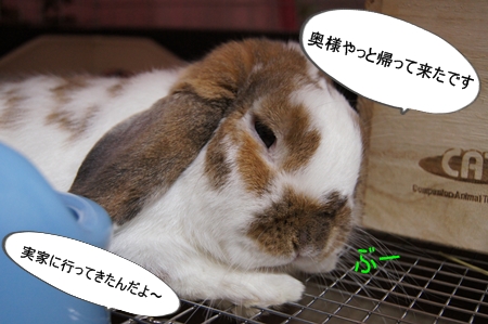 DSC05950.jpg