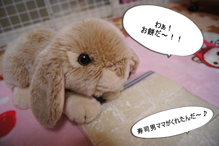 DSC05973_20121231192413.jpg