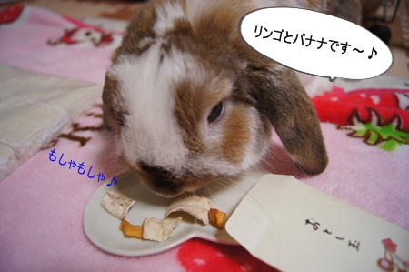 DSC05974.jpg