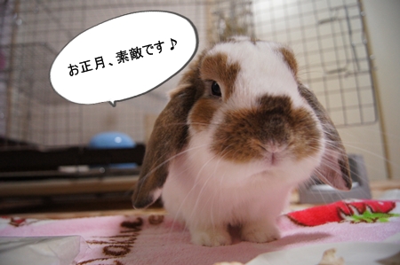 DSC05980.jpg