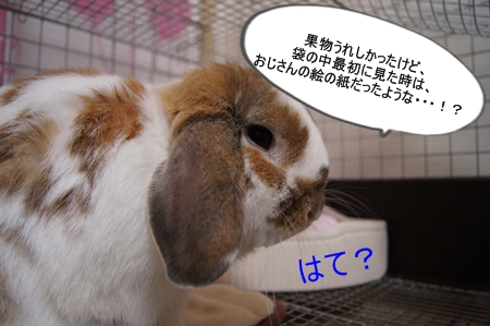 DSC05985.jpg
