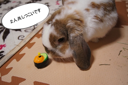 DSC06803.jpg