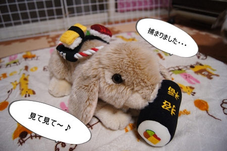 DSC06837.jpg