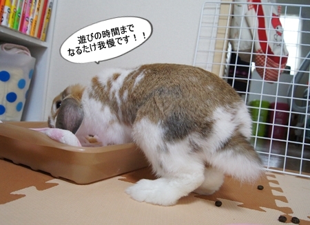 DSC08575.jpg