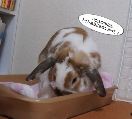 DSC08578.jpg
