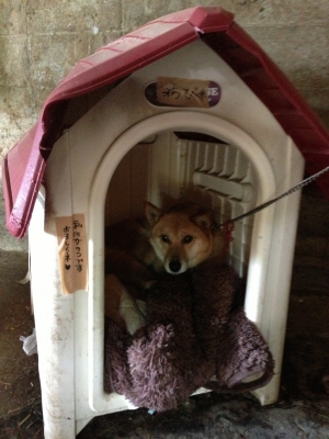 2013032311.jpg