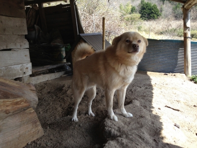 2013033001.jpg