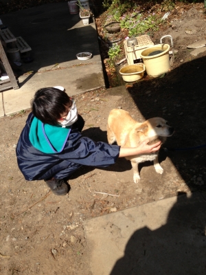 2013033003.jpg