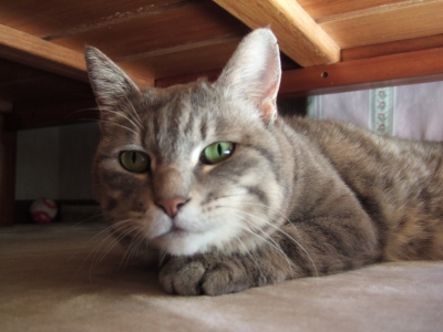 2013040704.jpg
