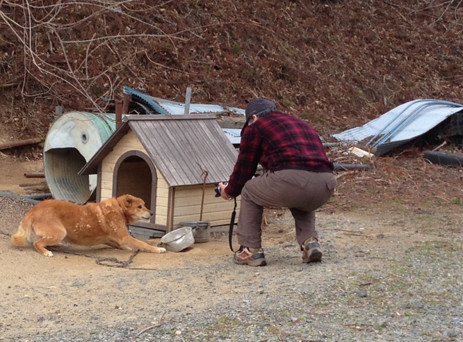 写真 (4)