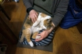 愛猫:2014.01.20