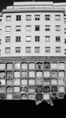181798_519011721_1large.jpg