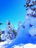 DSC_0366.jpg