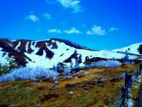 DSC_0412.jpg