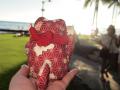 hawaii 048