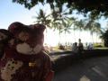 hawaii 056