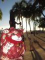 hawaii 059