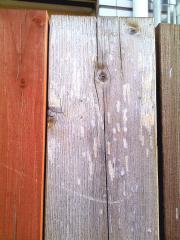 IMG_20120606_161308_edit0.jpg