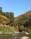 保津川下りの船と山