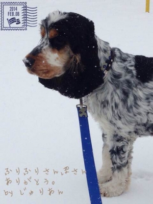ジュリアンくん140209